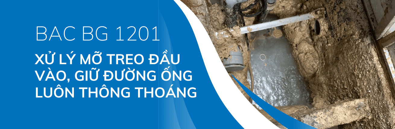 Vi sinh xử lý mỡ treo đầu vào, giữ đường ống luôn thông thoáng